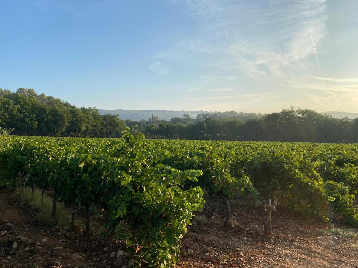 לינה וארוחת בוקר Entrecasteaux L'Eveil En Provence מראה חיצוני תמונה