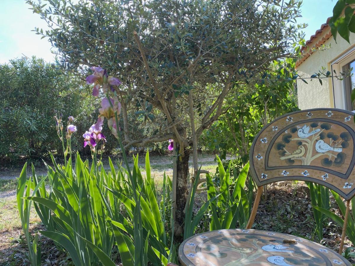 לינה וארוחת בוקר Entrecasteaux L'Eveil En Provence מראה חיצוני תמונה